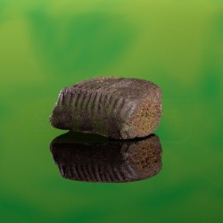 Résine CBD Pakistano 6%