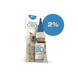 CBD-Öl für Katzen 2%