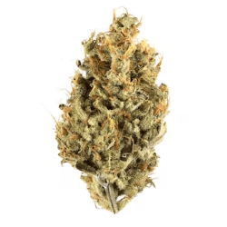 Flower of CBD Caramel Candy Indoor (15%)