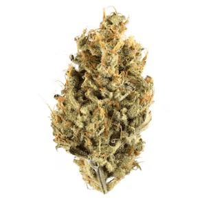 CBD Blume Karamell Candy Indoor (15 %)