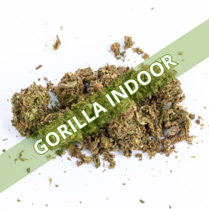 Trim CBD Indoor Gorilla - 20g-100g