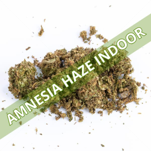Trim CBD Amnesia Haze Indoor