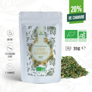 Maté vert bio Citron Gingembre