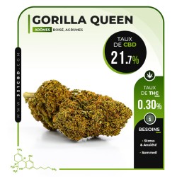 Fleur CBD Gorilla Queen Indoor 21,7%
