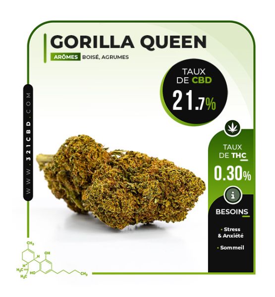 CBD Gorilla Queen 21,7%