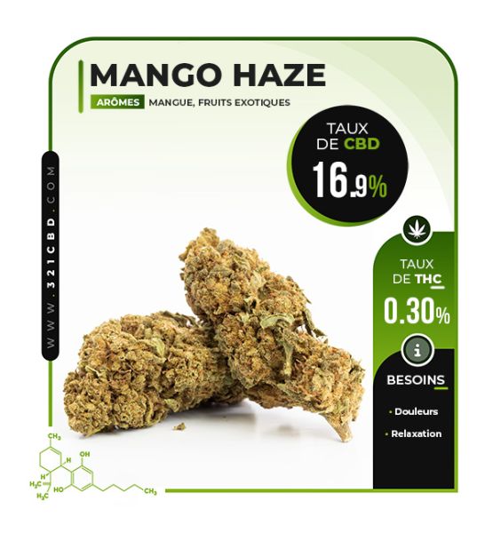 Fleur CBD Mango Haze Greenhouse 16.9%