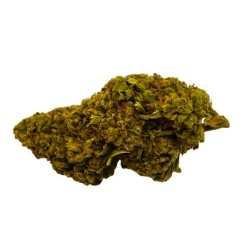 Cali Dream CBD greenhouse