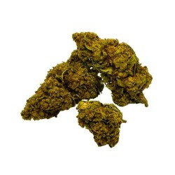 Cali Dream CBD greenhouse