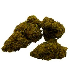 Cali Dream CBD greenhouse