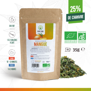 Bio Mango Tee