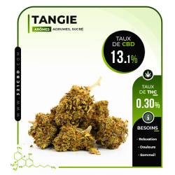 CBD Tangie 13,1%