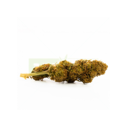 CBD Orange Turbo 11,5%