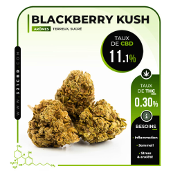 CBD Blackberry Kush 11,1%