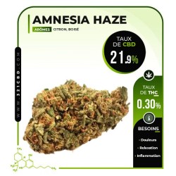 CBD Amnesia Haze Indoor Blume (21,9 %)
