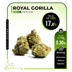 Fleur de CBD Royal Gorilla Indoor (17,4 %)