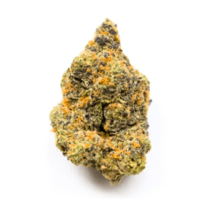 CBD Critical Indoor Blume (16,9 %)