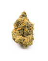 CBD Flower Critical Indoor (16.9%)
