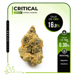 Fleur de CBD Critical Indoor (16,9 %)