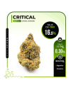 CBD Flower Critical Indoor (16.9%)