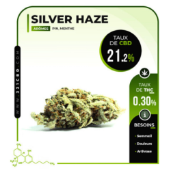 Fleur de CBD Silver Haze Greenhouse (21,2 %)