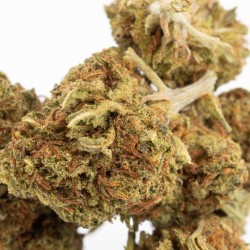 Zoom Fleurs CBD Swiss Tsunami 19,3%