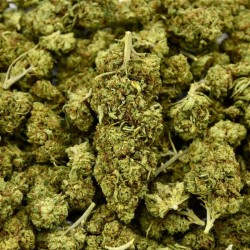 Fleur de CBD Honey Cream Indoor (21%)