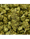 Fleur de CBD Honey Cream Indoor (21%)