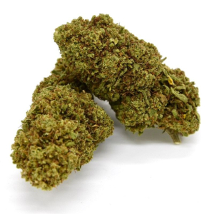 Fleur de CBD Mimosa Indoor (23%)
