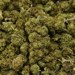 Fleur de CBD Mimosa Indoor (23%)