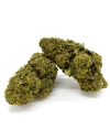 Watermelon Indoor CBD Flower (21%)