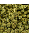 Watermelon Indoor CBD Flower (21%)