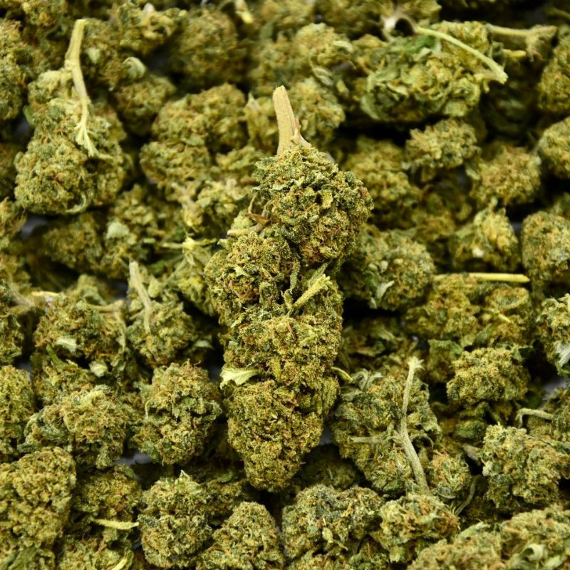 Watermelon Indoor CBD Flower (21%)