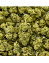 Fleur de CBD El Patron Indoor (22%)