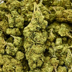 Fleur de CBD Hulk Berry Indoor (21%)