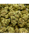 Fleur de CBD White Berry Indoor (19%)