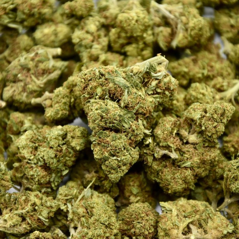 Fleur de CBD White Berry Indoor (19%)