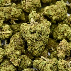 Lemon Cake Indoor CBD-Blüte (17%)