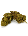 Fleur de CBD Mandarine Indoor (19%)