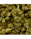 Fleur de CBD Mandarine Indoor (19%)