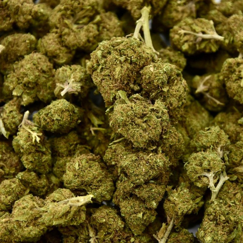 Fleur de CBD Mandarine Indoor (19%)