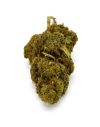Fleur de CBD Mandarine Indoor (19%)