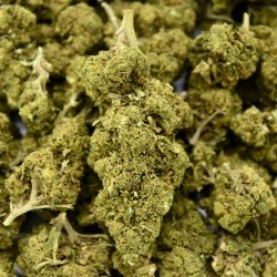 Fleur de CBD Blue Gelato Indoor (20%)