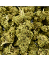 Blue Gelato Indoor CBD Flower (20%)