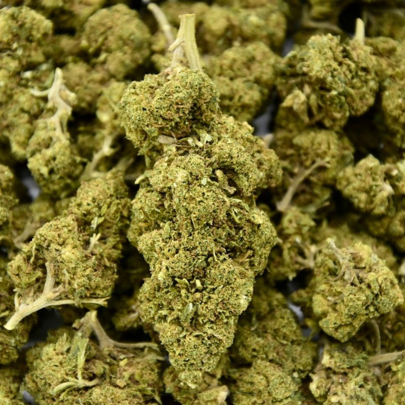 Blue Gelato Indoor CBD Flower (20%)