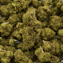 Orangello Indoor CBD-Blüte (18%)