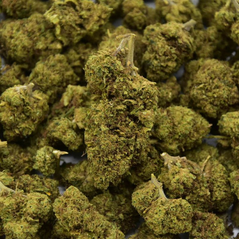 Fleur de CBD Orangello Indoor (18%)