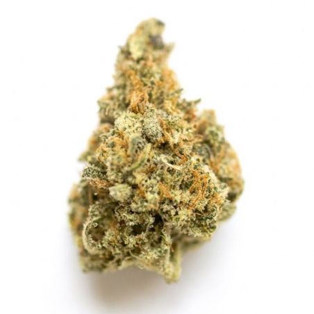 Mango Kush Outdoor CBD Flower (23.7%) - Best Deals | 321CBD