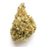 Mango Kush Outdoor CBD Flower (23.7%) - Best Deals | 321CBD