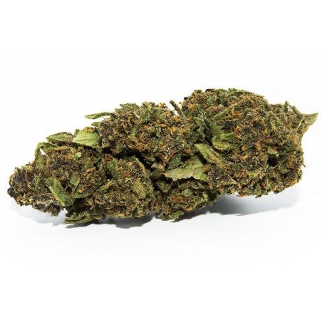 Fleur de CBD Blue Gelato Indoor (20%)