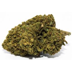 El Patron Indoor CBD Flower (22%)